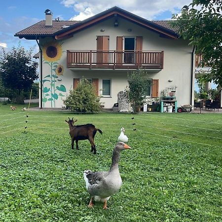 Agriturismo Girasole Фай дела Паганела Екстериор снимка